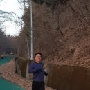 청량산 임도1 이미지