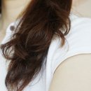 해리치 | 두피에 좋은 무실리콘 헤어팩 / 해리치 베다셀 헤어 프로그램 더블 케어 팩 후기