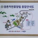 충청도 여행지 글램핑장 갖춘 논산 양촌자연휴양림 이미지