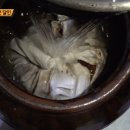 화승꽈배기
