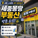 몽땅경제공인중개사사무소 | 세종 나성동 상가 알아보다 방문한 세종몽땅 부동산 후기
