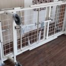 주식회사메디피아 이미지