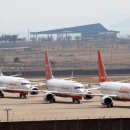 제주여객노동조합 이미지