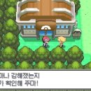 초원체육관 이미지