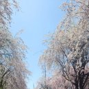 거창-남상-13 이미지