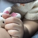 덕평목장 이미지