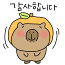 럭키팝(Lucky POP) 이미지