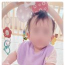 툴리(Tuli)