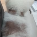 온빛동물병원 이미지