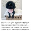 아뜰리에 멍 이미지