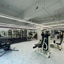 미니원핏 이미지