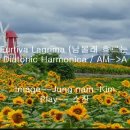 Una Furtiva Lagrima (남몰래 흐르는 눈물) diatonic Am--＞A 과제물 이미지