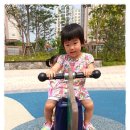 들놀이공원 이미지