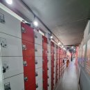 챔피언이직접지도하는킥복싱무에타이MWGYM