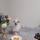 까까 주시개 이미지