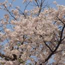 열창노래방 이미지