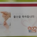 노블5 산후조리원 이미지