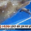 마리횟집 이미지