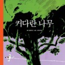 소통하는 나무 이미지