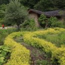 산채건강마을 이미지