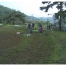 병이농장 이미지