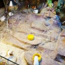 테이블에이 이미지