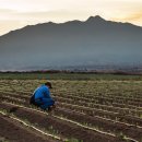 천혜농장 이미지