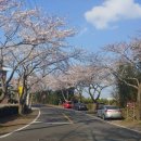 대흘민박 이미지