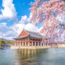 The 가까운약국 이미지