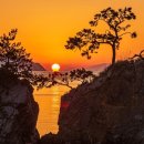 떠오르는 태양 이미지