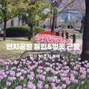 연지공원(시계탑) 이미지