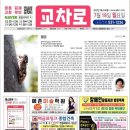 김양수「매미」 이미지