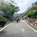 웅석봉초록길 | [경남 산청 가볼 만한 곳] 여름에 가기 좋은 사찰 연꽃 수국 명소 수선사