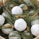 솔잎아래 이미지