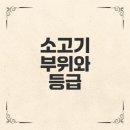현대특수사료㈜ | 소고기 부위와 품질 어떻게 구분할까