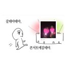 김요한의원 | 2025 경주 APEC 뮤직페스타 관람후기 ♡ 킥플립 엔시티위시 빌리 최예나 온앤오프 원어스 이즈나 하츠투...