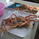 착한대게 이미지