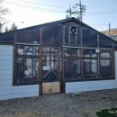 봉평별빛 이미지