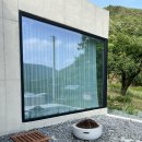 베지아웃 이미지