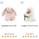 정세탁 | 젤리캣 바쉬풀 버니 M 사이즈 후기 | 출산선물 추천, 가격 사이즈 세탁방법까지