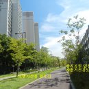 석전동178 이미지