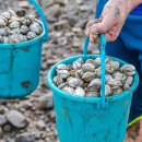 필하우스펜션 이미지