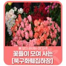 광주꽃집하장