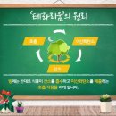 미니정원(테라리움) Daum카페