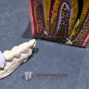 튼튼내이사랑치과의원 이미지