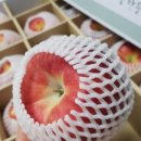 상림고운광장 이미지