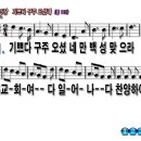 구주 이미지