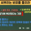 가시로13
