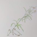 바울상회