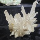 우석헌자연사박물관 | 경기도 남양주 가볼만한곳 실내 초등학생 아이도 좋아했던 우석헌 자연사 박물관